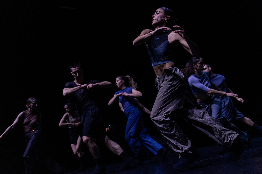*My Fierce Ignorant Step* by Christos Papadopoulos ; photo and background: Pinelopi Gerasimou