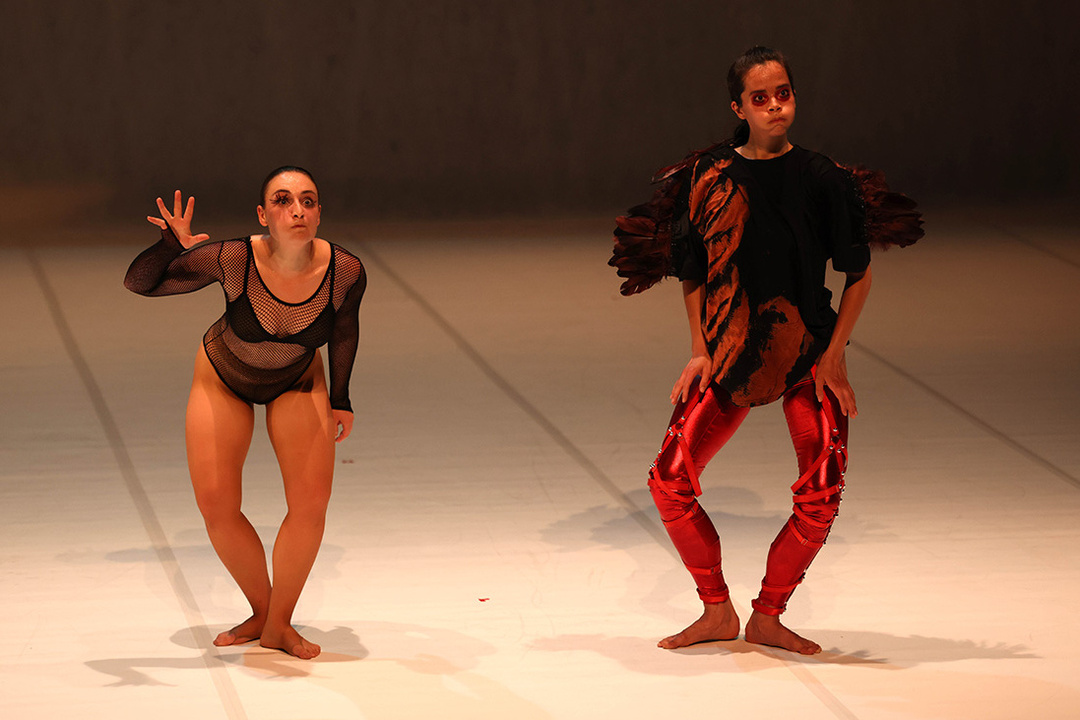 *Les Oiseaux* by Lenio Kaklea; photo: Albert Vida / Vertex Comunicacio