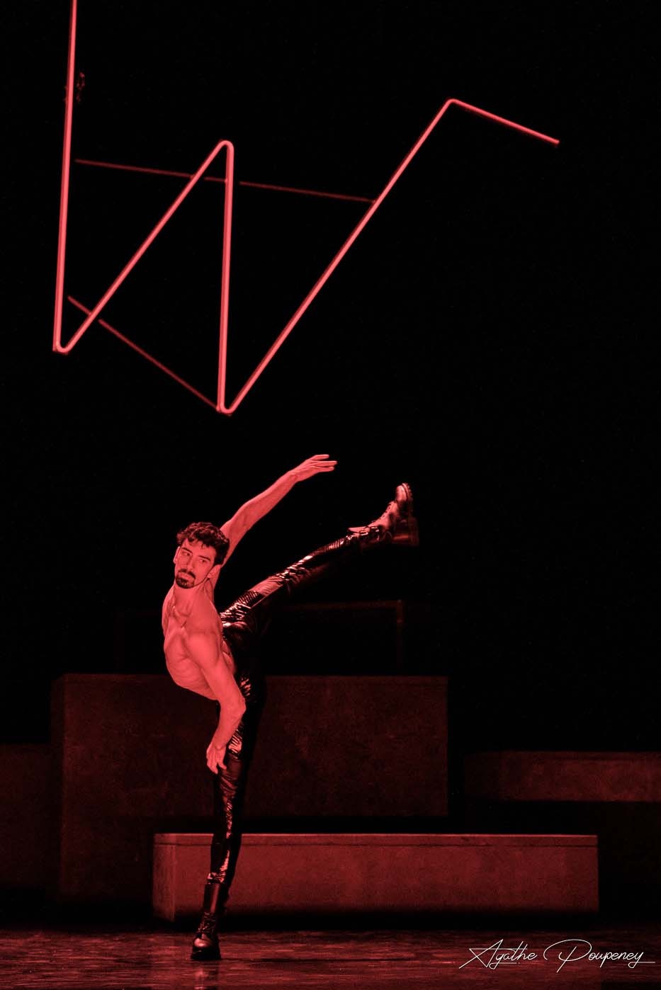 Les Ailes du Desir, Foto: Agathe Poupeney