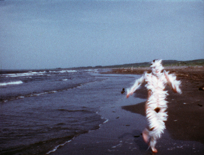 Ana Mendieta, *Bird Run* 1974. © The Estate of Ana Mendieta Collection, LLC. Licensed by Artist Rights Society (ARS), New York / DACS, 2026 / Courtesy Marian Goodman Gallery and Alison Jacques, London