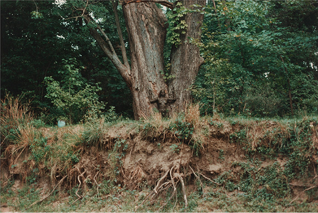 Ana Mendieta, *Untitled: Silueta Series* 1976 © The Estate of Ana Mendieta Collection, LLC. Licensed by Artist Rights Society (ARS), New York / DACS, 2026 / Courtesy Marian Goodman Gallery and Alison Jacques, London
