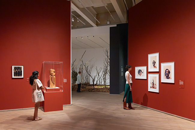 Ana Mendieta installation view at Tate Modern 2026. Artworks © The Estate of Ana Mendieta Collection, LLC. Licensed by Artist Rights Society (ARS), New York. DACS 2026. Photo © Tate (Yili Liu)