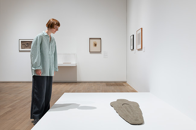 Ana Mendieta installation view at Tate Modern 2026. Artworks © The Estate of Ana Mendieta Collection, LLC. Licensed by Artist Rights Society (ARS), New York. DACS 2026. Photo © Tate (Yilli Liu)